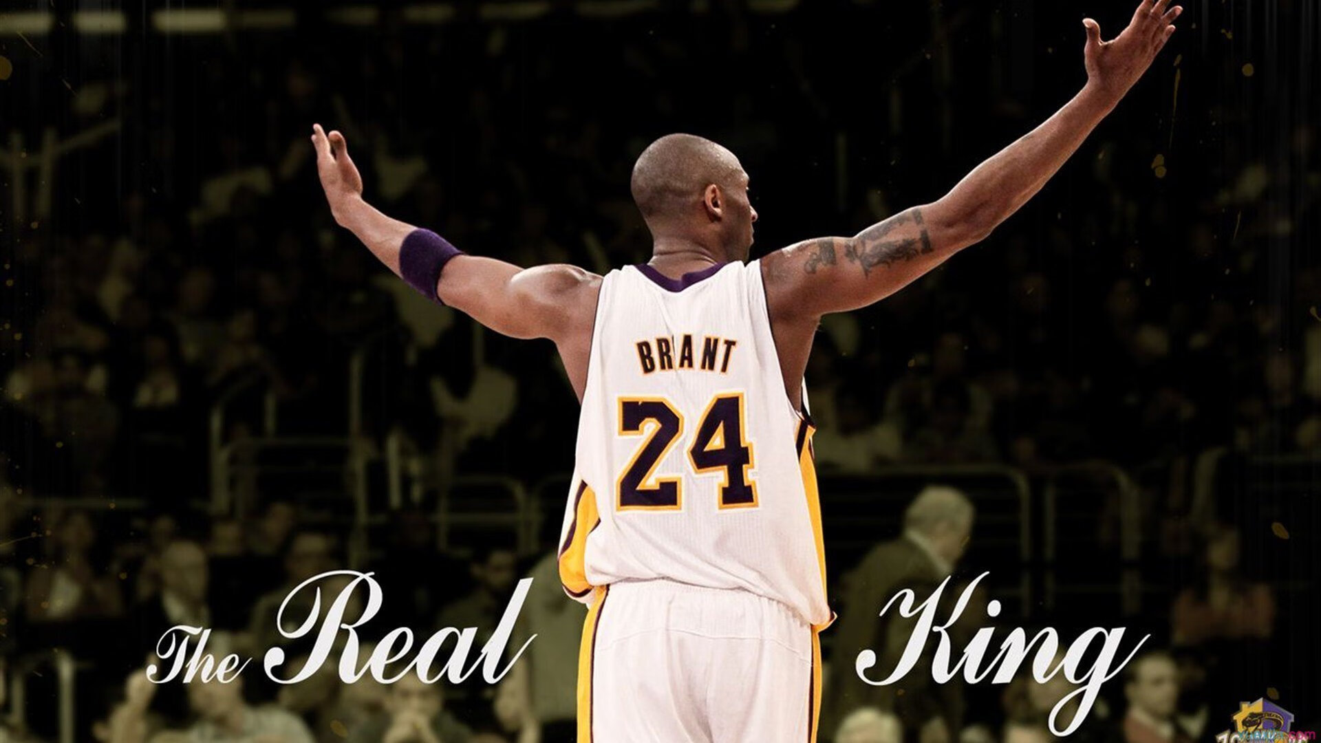 勇士两大核心闪耀全场！穆迪与波斯特联手限制布克，攻防全能稳固空间彰显冠军之风